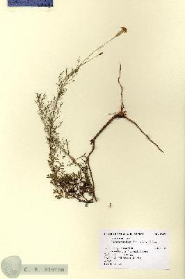URN_catalog_HBHinton_herbarium_12889.jpg.jpg