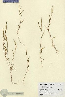 URN_catalog_HBHinton_herbarium_1967.jpg.jpg