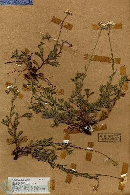 URN_catalog_HBHinton_herbarium_17355.jpg.jpg