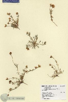 URN_catalog_HBHinton_herbarium_17318.jpg.jpg