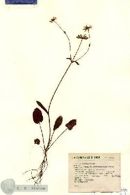 URN_catalog_HBHinton_herbarium_2014.jpg.jpg