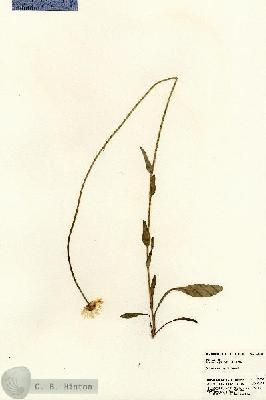 URN_catalog_HBHinton_herbarium_23088.jpg.jpg