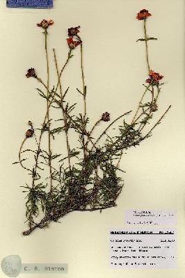URN_catalog_HBHinton_herbarium_28697.jpg.jpg