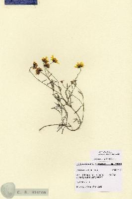 URN_catalog_HBHinton_herbarium_28758.jpg.jpg