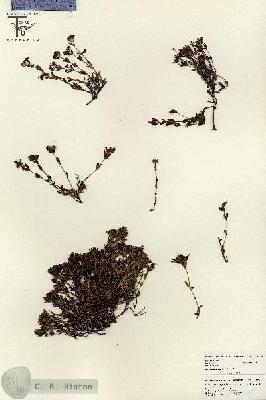 URN_catalog_HBHinton_herbarium_18278.jpg.jpg
